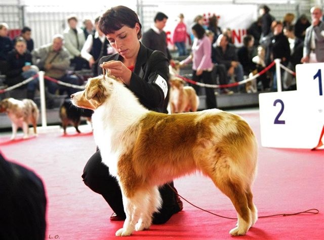 Exotic red piment du domaine de la Camosciara - 2EME EXCELLENT RCAC