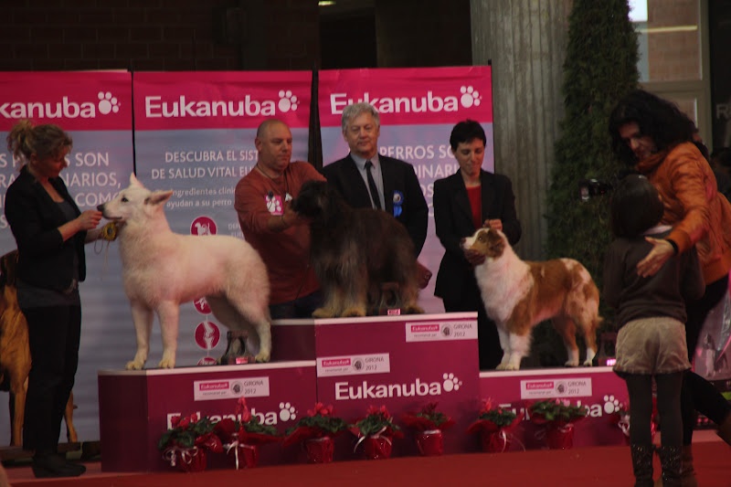 Exotic red piment du domaine de la Camosciara - 1ER EXC OF MEILLEUR DE RACE //3EME GROUPE 1