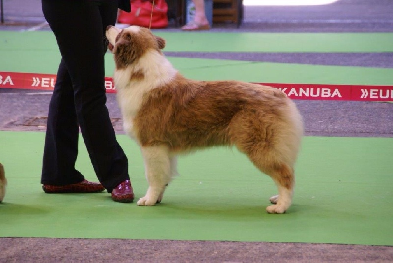 Jes mee & v des Terres De Khairyaca - EXC NC classe JF