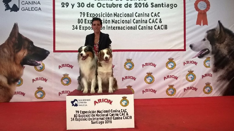 Jes mee & v des Terres De Khairyaca - 1 EXC CAC CACIB