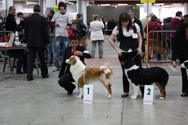 Exotic red piment du domaine de la Camosciara - 1ER EXCELLENT classe JEUNE