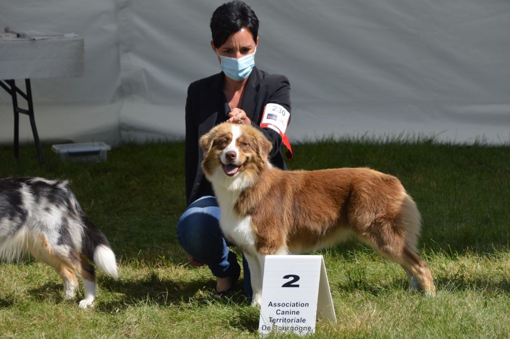 Pomchoco butter on the cake du domaine de la Camosciara - 2 eme EXC INTER F