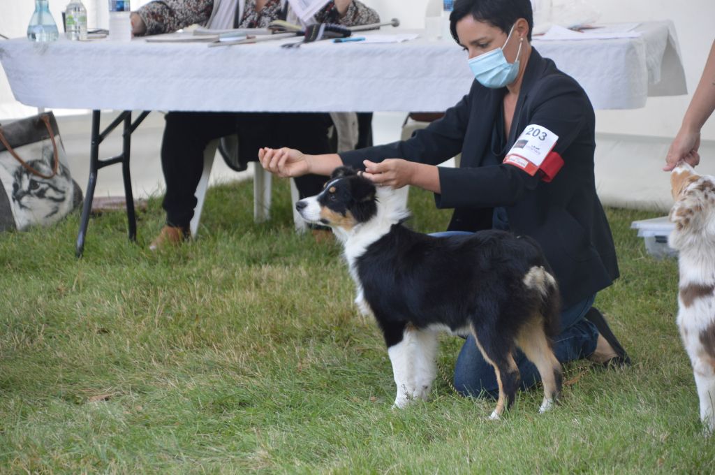 Rhapsody bohemian du domaine de la Camosciara - 3 éme TP BF