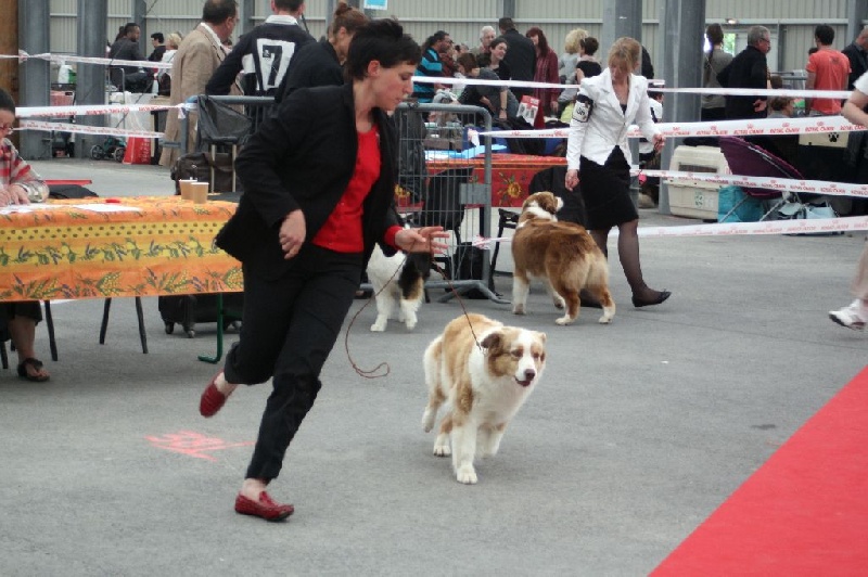 Exotic red piment du domaine de la Camosciara - EXCELLENT NC classe OF