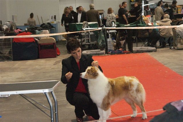 Exotic red piment du domaine de la Camosciara - 7EME EXCELLENT CLASSE OF