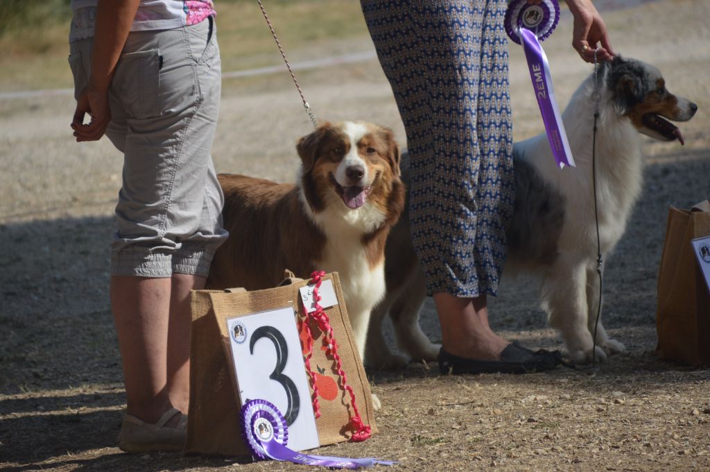 Pomchoco butter on the cake du domaine de la Camosciara - 3 ème EXC OF