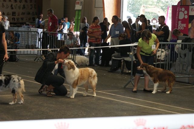 Exotic red piment du domaine de la Camosciara - 3eme EXCELLENT classe jeune