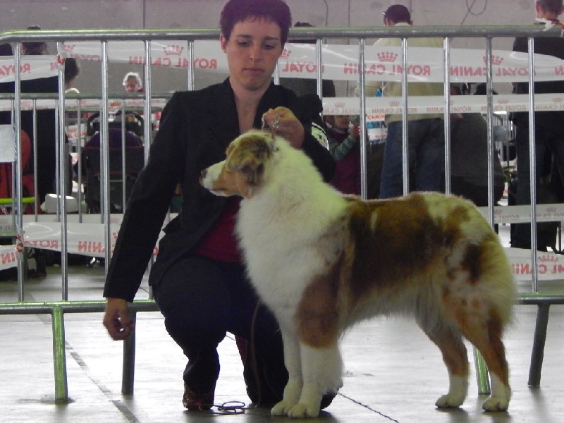 Exotic red piment du domaine de la Camosciara - 3EME EXCELLENT OF