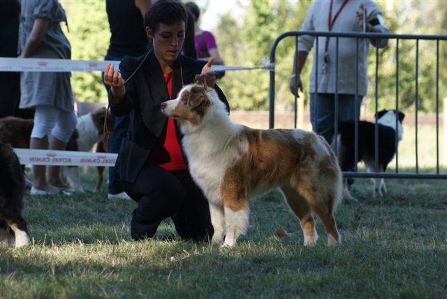 Exotic red piment du domaine de la Camosciara - 2 EME EXCELLENT OF