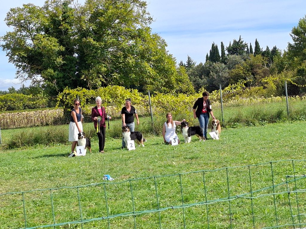 Pomchoco butter on the cake du domaine de la Camosciara - 4 ème TB CLASSE OF