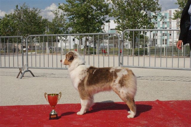 Exotic red piment du domaine de la Camosciara - 1ER EXCELLENT classe JEUNE MEILLEUR J
