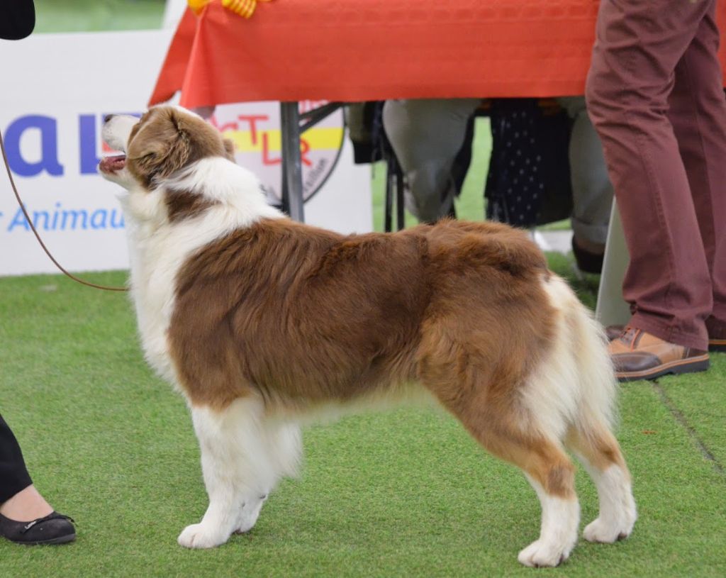 Jes mee & v des Terres De Khairyaca - TB