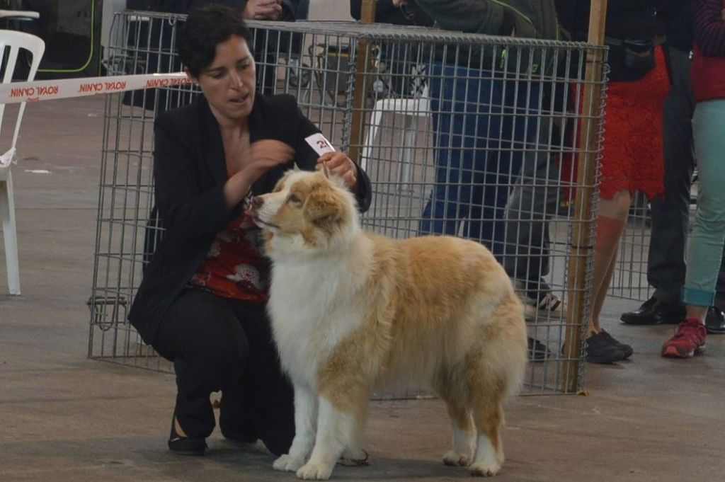 Exotic red piment du domaine de la Camosciara - 2 éme EXC VF