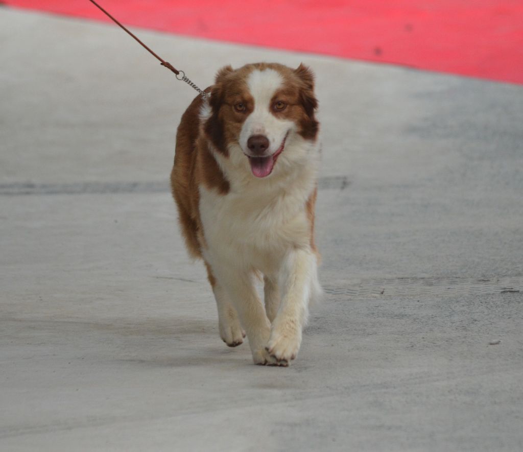 Jes mee & v des Terres De Khairyaca - 3 eme EXC OF