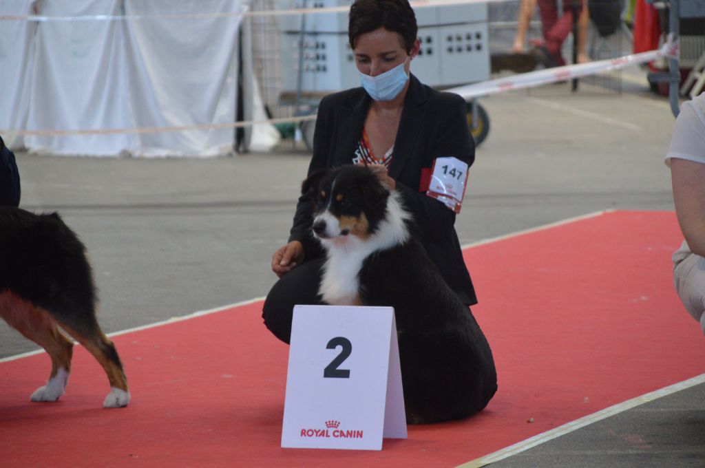 Rhapsody bohemian du domaine de la Camosciara - 2 eme EXC INTER F