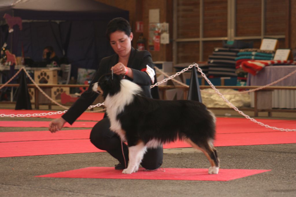 Rhapsody bohemian du domaine de la Camosciara - TB INTER F