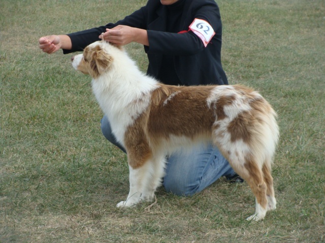 Exotic red piment du domaine de la Camosciara - 3 eme EXCELLENT classe jeune