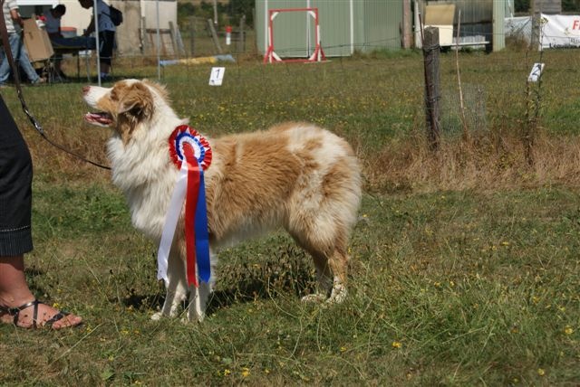 Exotic red piment du domaine de la Camosciara - 2eme TP classe puppy