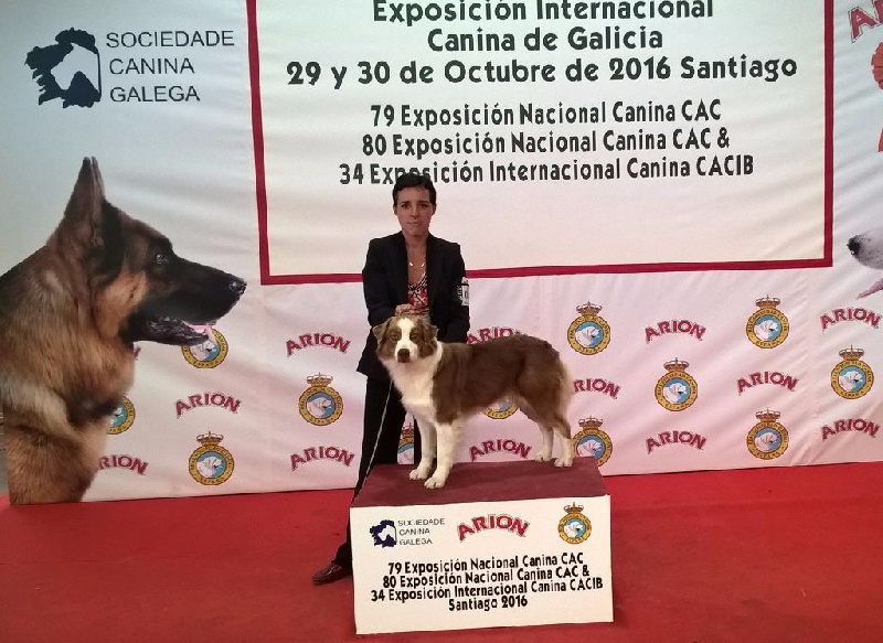 Jes mee & v des Terres De Khairyaca - 1ERE EXC OF CAC