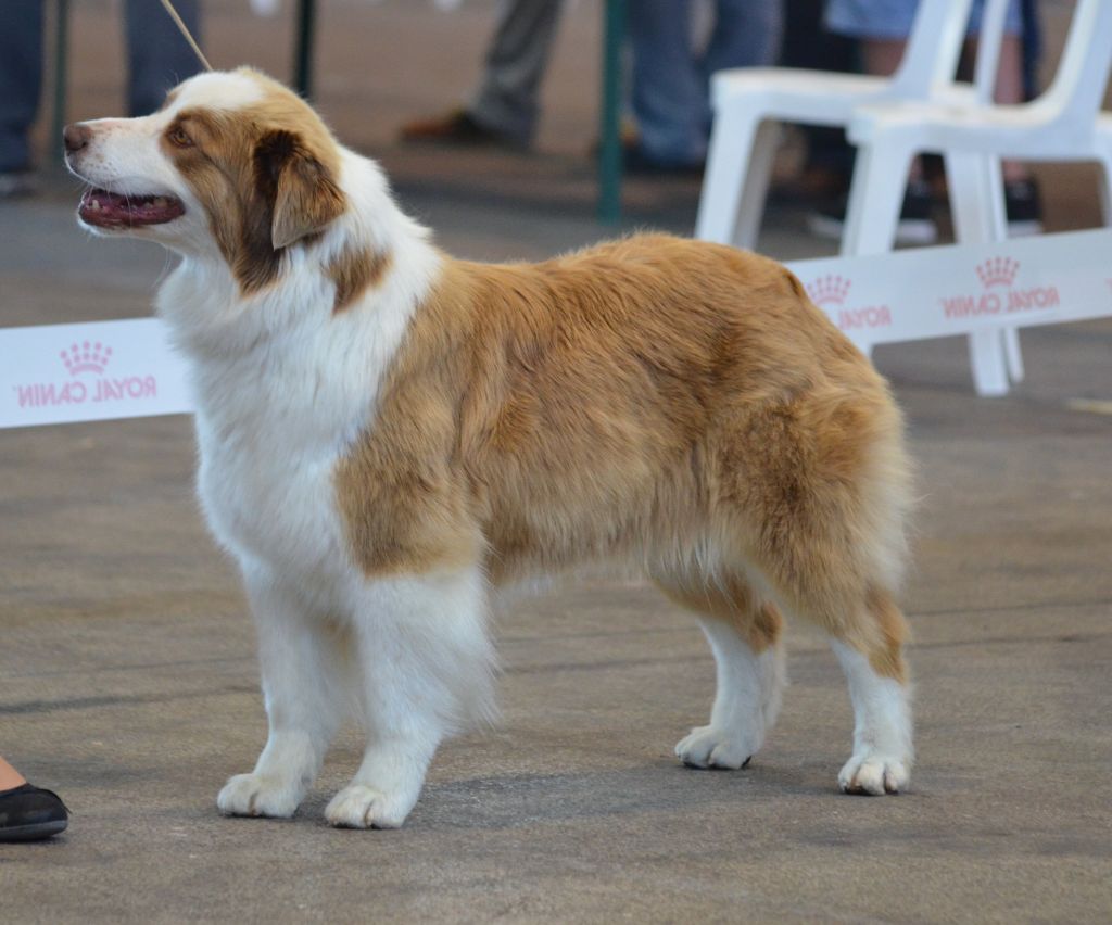 Jes mee & v des Terres De Khairyaca - 2EME EXC OF