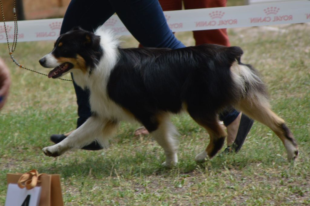 Rhapsody bohemian du domaine de la Camosciara - TB JF