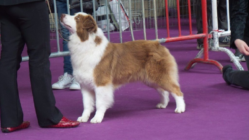 Jes mee & v des Terres De Khairyaca - 1 er EXC R CACS