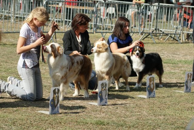 Exotic red piment du domaine de la Camosciara - 3eme EXCELLENT classe INTER