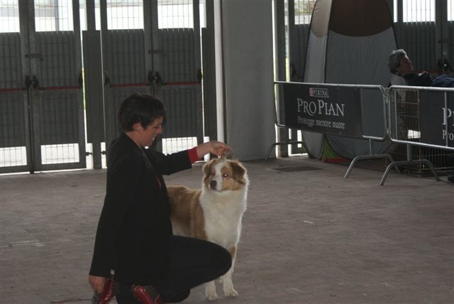 Exotic red piment du domaine de la Camosciara - 1ER TB