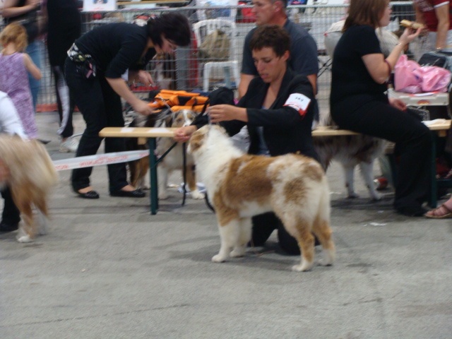 Exotic red piment du domaine de la Camosciara - TP classe PUPPY