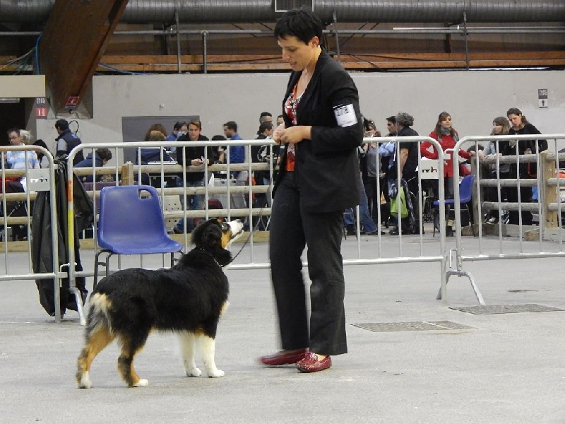 cau fosca La dolce vita - TP classe PF