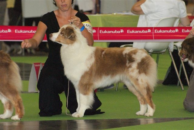 Exotic red piment du domaine de la Camosciara - EXCELLENT classe INTER