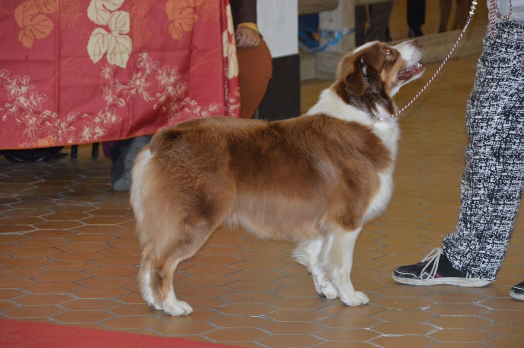 Pomchoco butter on the cake du domaine de la Camosciara - TB OF