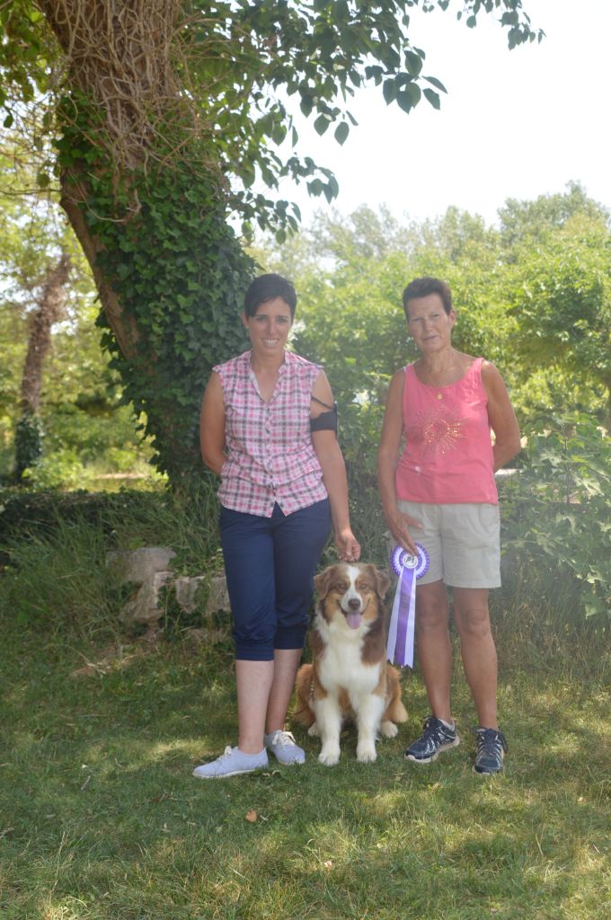 Pomchoco butter on the cake du domaine de la Camosciara - EXC Non classé OF