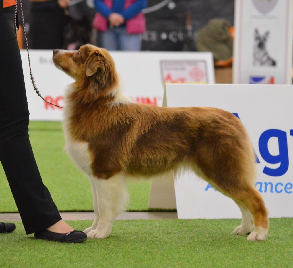 Pomchoco butter on the cake du domaine de la Camosciara - EXC