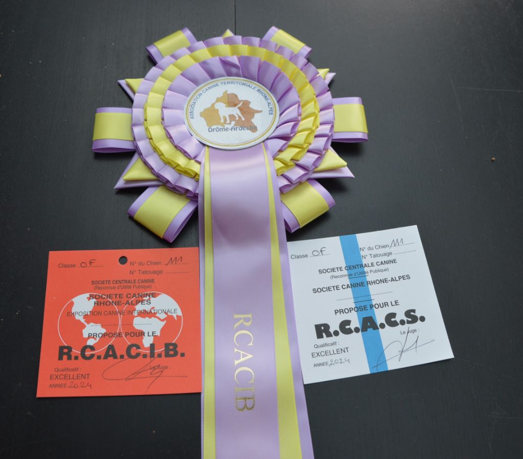 Pomchoco butter on the cake du domaine de la Camosciara - 1 ere EXC RCAC RCACIB OF