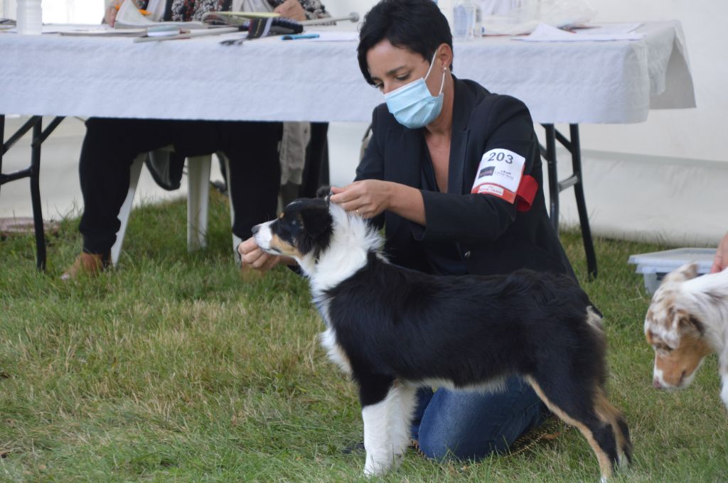 Rhapsody bohemian du domaine de la Camosciara - 3 ème TP Baby F