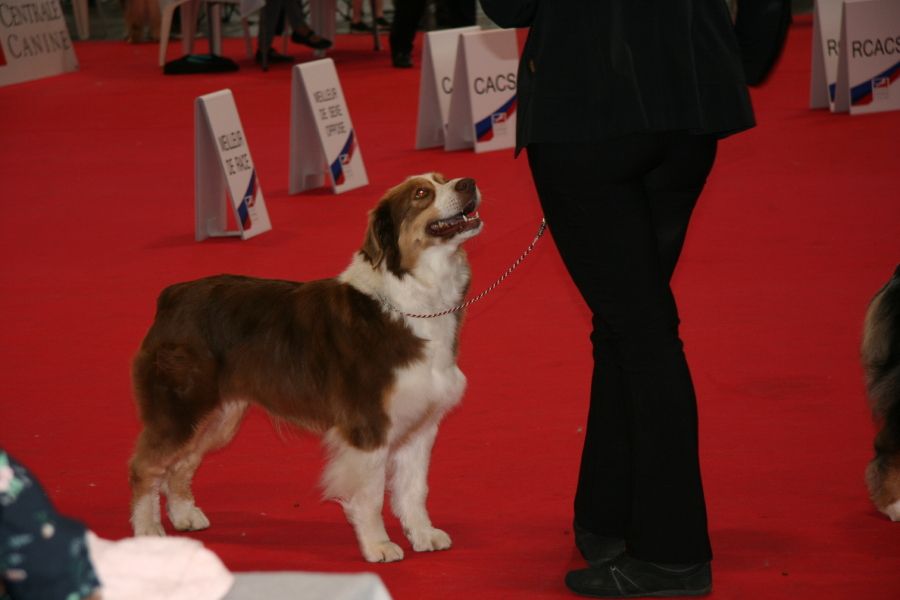 Pomchoco butter on the cake du domaine de la Camosciara - EXC OF