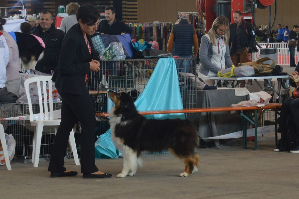 cau fosca La dolce vita - 2 éme EXC OF