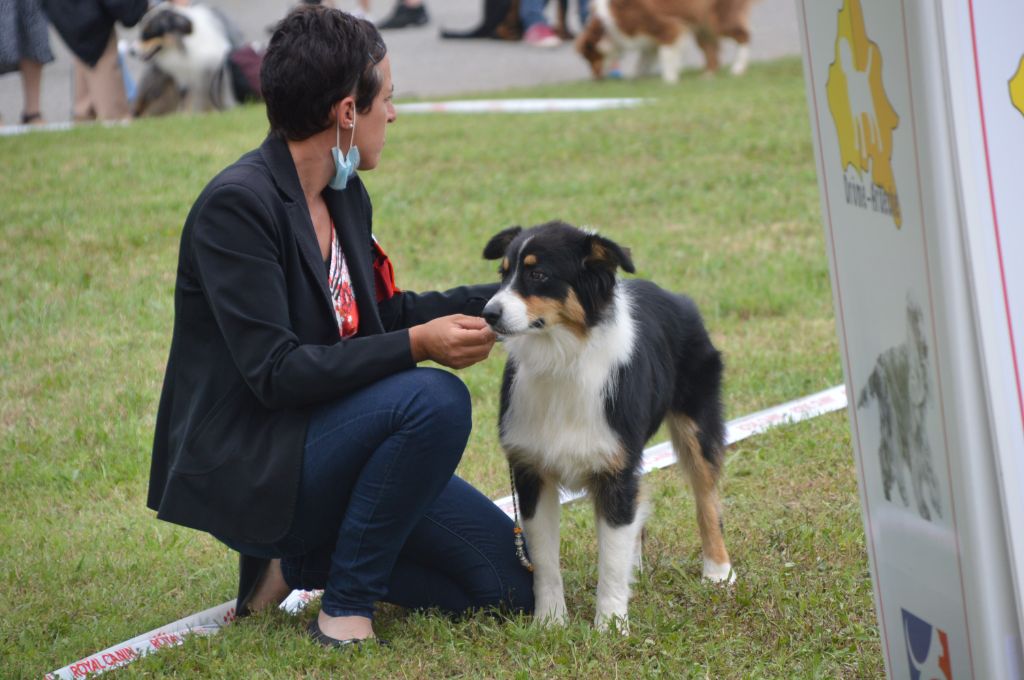 Rhapsody bohemian du domaine de la Camosciara - TB JF