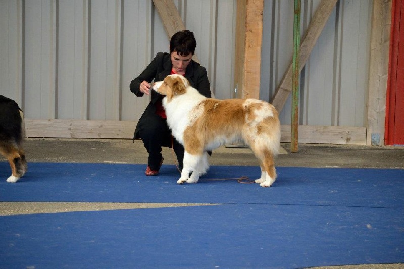 Exotic red piment du domaine de la Camosciara - 10 EME EXCELLENT classe OF