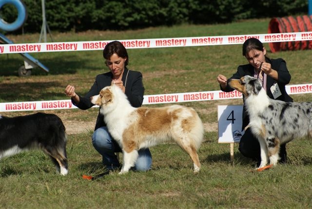 Exotic red piment du domaine de la Camosciara - 3eme EXCELLENT classe INTER