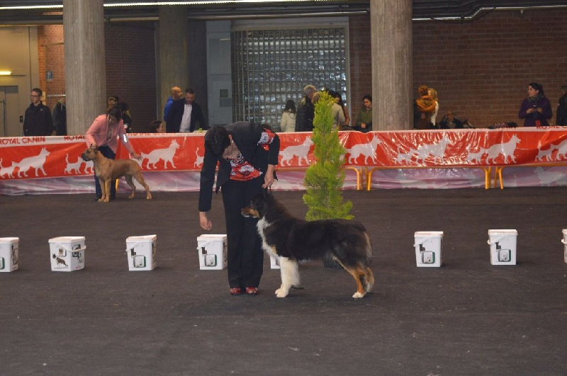 cau fosca La dolce vita - 1ERE EXC OF