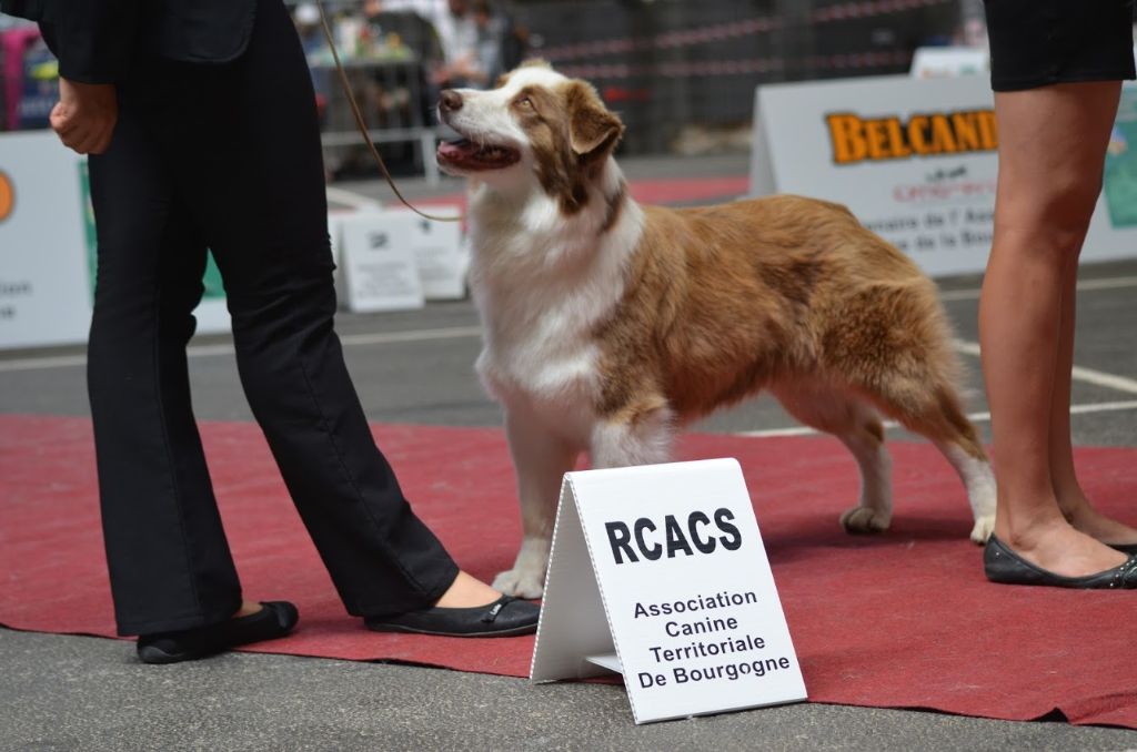 Jes mee & v des Terres De Khairyaca - 2eme EXC RCACS