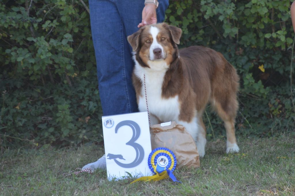Pomchoco butter on the cake du domaine de la Camosciara - 3 ème EXC OF