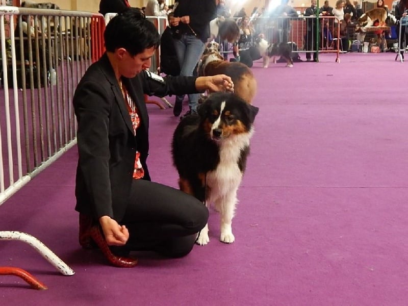 cau fosca La dolce vita - 2EME EXC OF