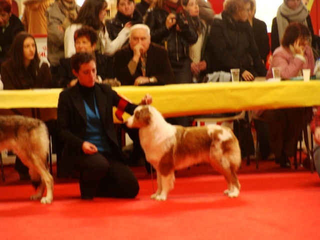 Exotic red piment du domaine de la Camosciara - 1ER EXCELLENT MEILLEUR J classe jeune