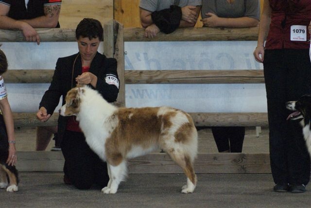 Exotic red piment du domaine de la Camosciara - 4EME EXCELLENT classe OF