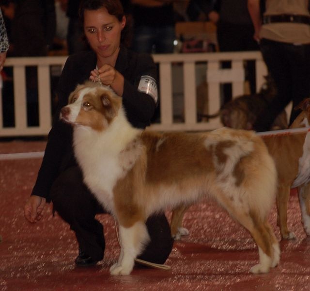 Exotic red piment du domaine de la Camosciara - 1ER EXCELLENT classe INTER