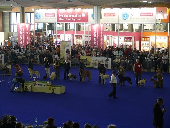 Publication : de Los Angeles de Monteriazor