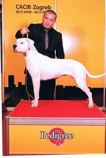 Publication : de Los Angeles de Monteriazor